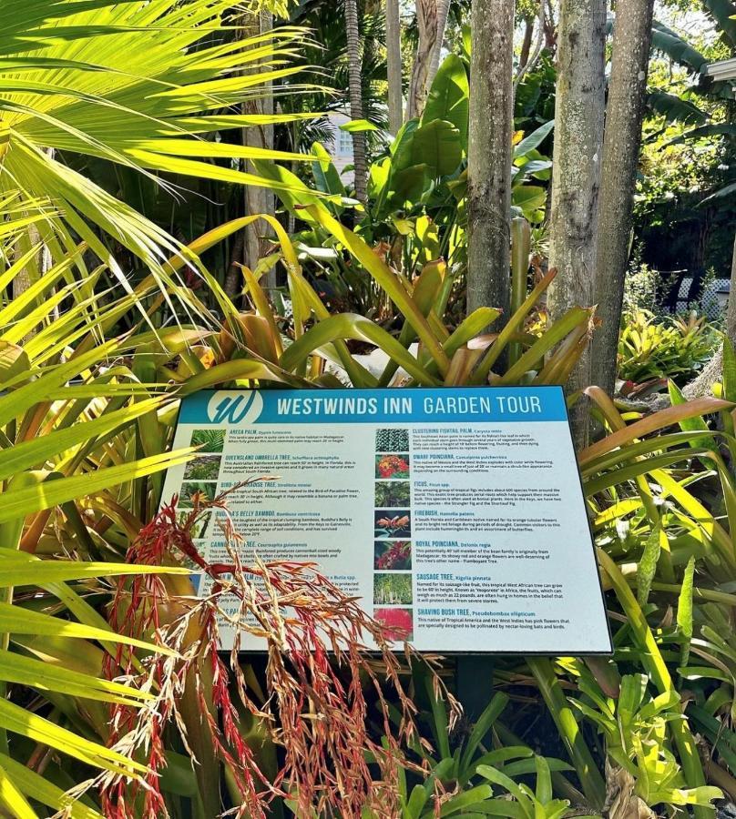 Deluxe King Patio