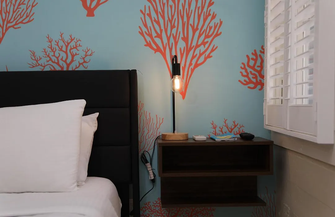 Tranquillity Guest House-1