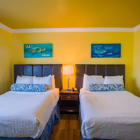 Pegasus International Hotel-2
