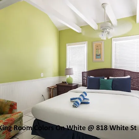 Colors On White-3